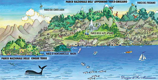 Figura 1 Quadro d'insieme dei parchi Nazionali e Regionali (Foto Sito Parco Nazionale dell’Appennino tosco-emiliano )