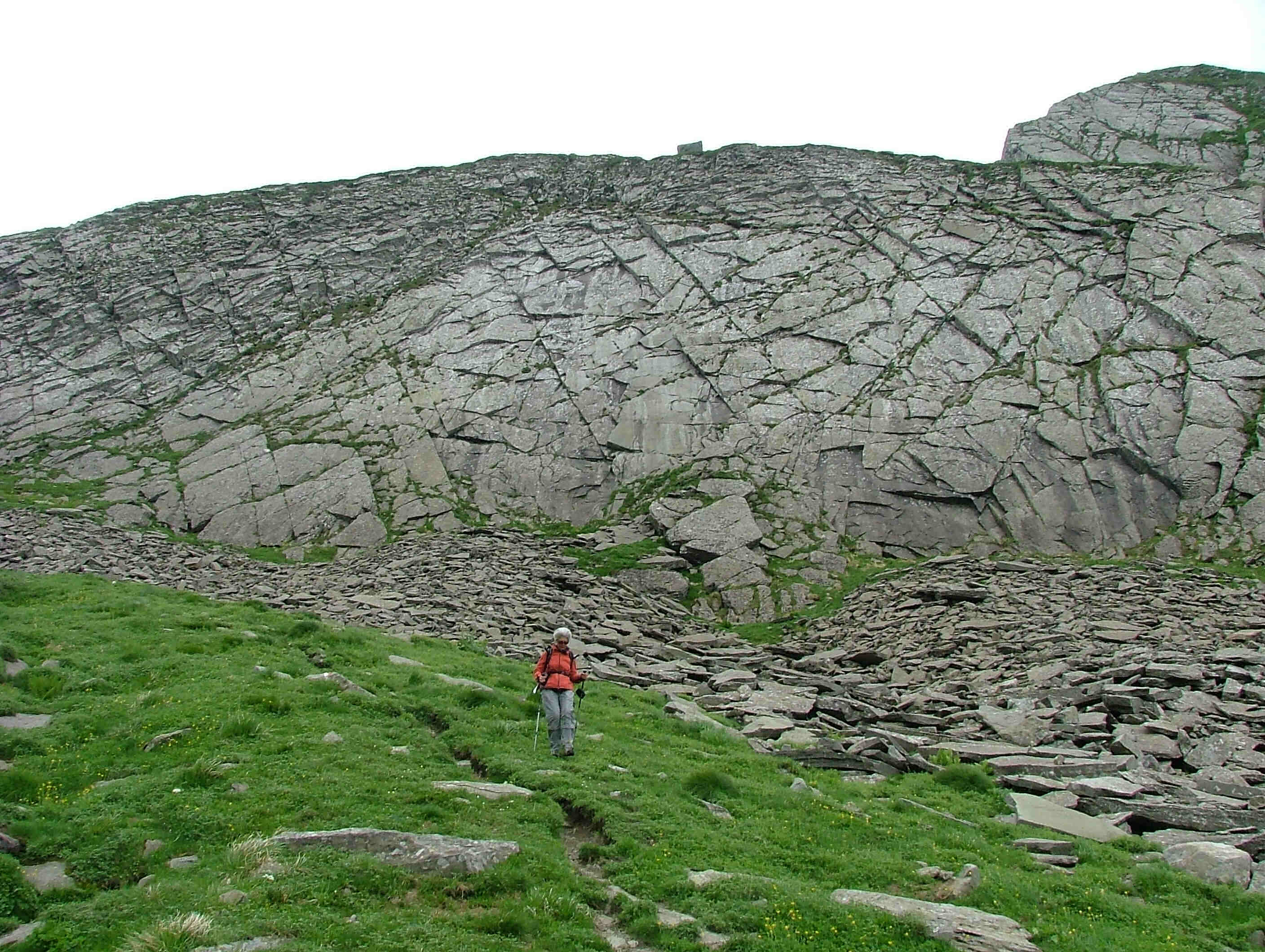 Figura 2 Alpe di succiso, Veduta degli strati Arenacei, la base di ogni strato arenaceo è l’espressione dell’arrivo di una corrente di torbida. Anche in queste arenarie sono visibili le deformazioni legate alla formazione dell’Appennino. Generalmente le arenarie formano dei versanti ricoperti da vegetazione, ma nel caso della foto le pendenze sono tali che abbiamo estesi affioramenti di arenarie “messe a nudo” (Foto dall’archivio ZIS)     