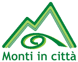 MONTI IN CITT