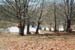 0003 Panorama 