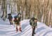 0039a Tra neve e faggi