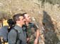 Monte Costasole 0012