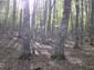 Monte Midia 0014