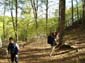 Monte Midia 0019a