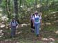 Monte Autore 00006