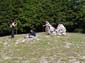 Monte Autore 00020