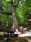 Monte Autore 00036