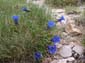 Traversata Sibillini 0008