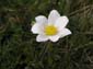 Traversata Sibillini 0021