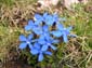 Traversata Sibillini 0025