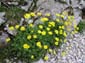 Traversata Sibillini 0066