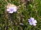 Traversata Sibillini 0079