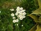Traversata Sibillini 0088