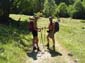 Monte Velino 0019