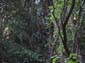 Monte Circeo 0006