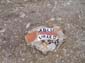 Monte Circeo 0035