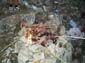 Monte Circeo 0062