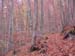 Monte Cotento 0015
