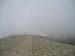 Monte Cotento 0088b