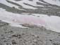 Monte Velino-Cafornia 0012