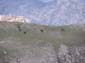 Monte Velino-Cafornia 0044