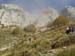 Monte Altino 0005