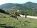 DSCF1655
