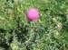 DSCF1659