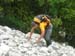 Gole del Salinello 0035