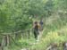 Gole del Salinello 0051