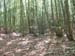 Monte Amaro 2008 0032