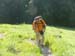 Monte Amaro 2008 0035