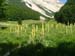 Monte Amaro 2008 0039