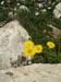 Monte Amaro 2008 0053
