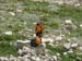Monte Amaro 2008 0055