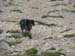 Monte Amaro 2008 0060