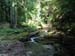 Gole dell'Orfento 00013