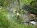 Gole dell'Orfento 00026