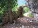 Gole dell'Orfento 00047