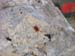 Pizzo Cefalone08 0027