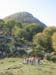 Monte Caccume08 0063