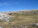 Monte Sirente08 0031