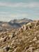 Monte Sirente08 0040
