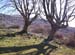 2009-03-07 Monte Gennaro 0094