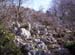 2009-03-07 Monte Gennaro 0121