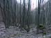2009-04-05 Murolungo 0023