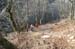 2009-04-05 Murolungo 0064