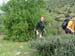 2009-04-18 Monte Sterparo 0025