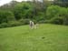 2009-04-18 Monte Sterparo 0039