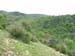 2009-04-18 Monte Sterparo 0066